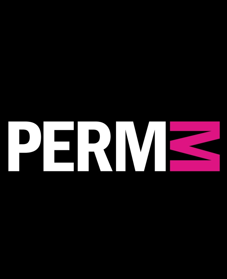 Музей современного искусства PERMM