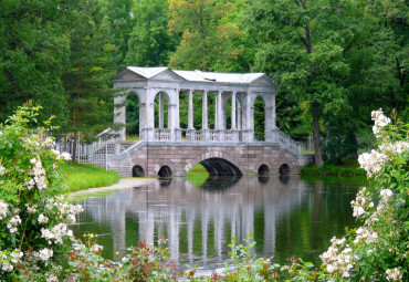 Дворцовый Петербург (максимум). Санкт-Петербург - Царское село -  Павловск