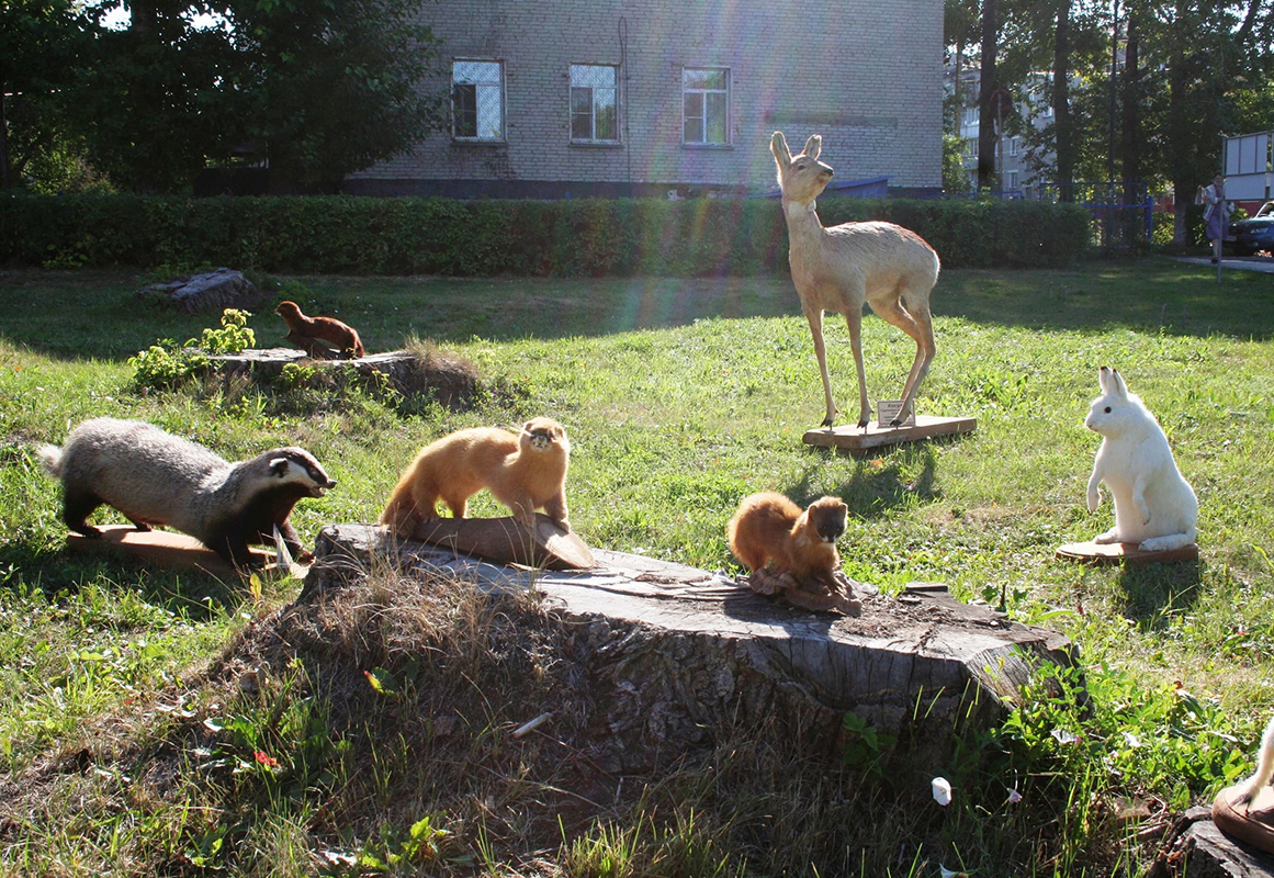 Барабинский Краеведческий-Музей