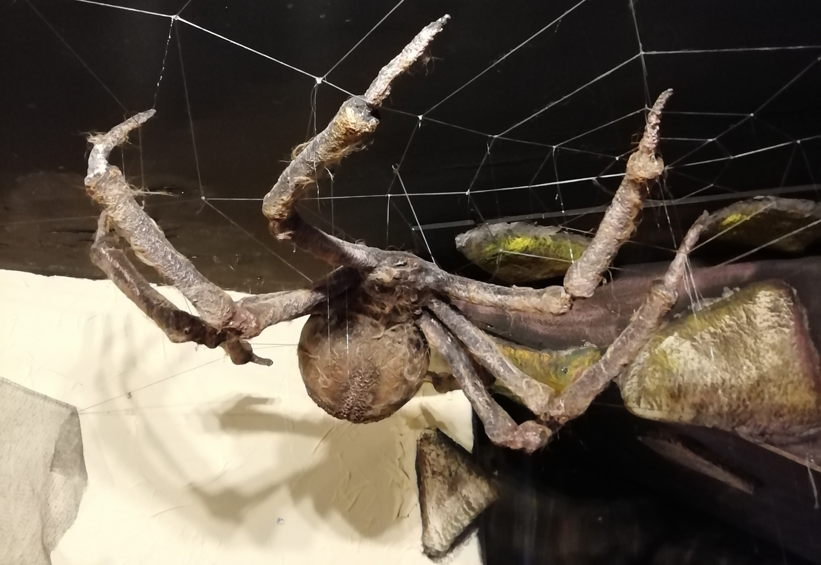 Музей живой бумаги (Санкт-Петербург)