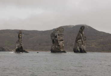 Морская прогулка к острову Старичков. Петропавловск-Камчатский