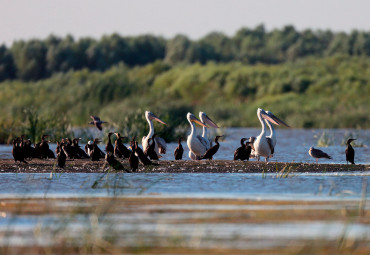 Природный парк "Волго-Ахтубинская пойма"