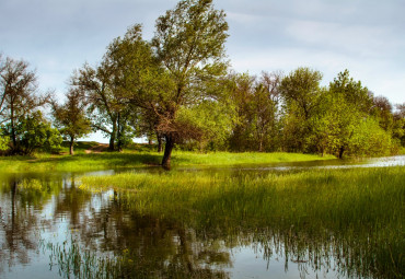 Природный парк "Волго-Ахтубинская пойма"