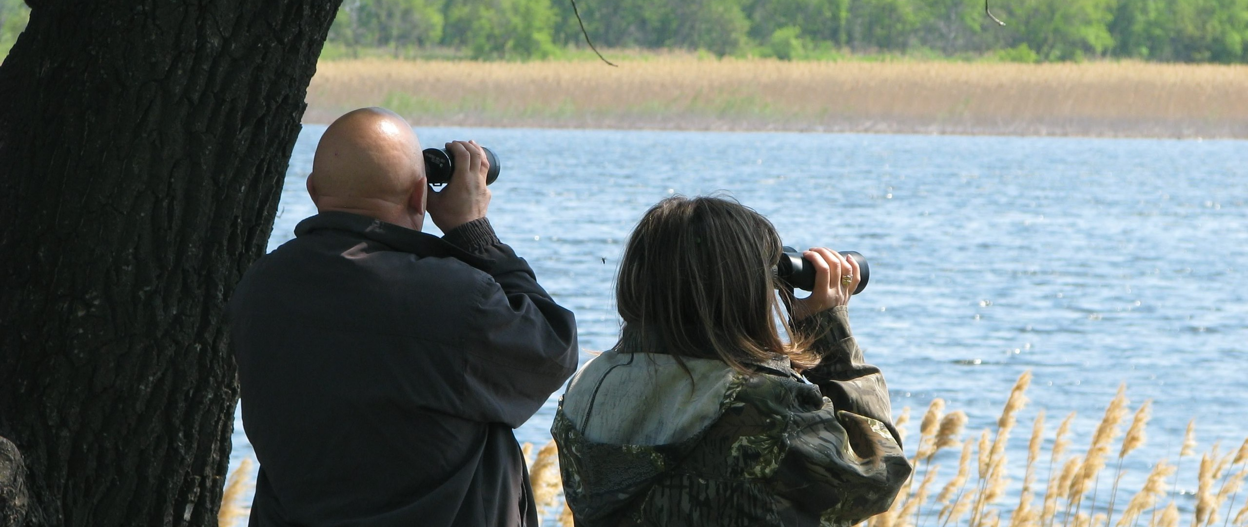 Экологическая тропа «В гармонии с природой»