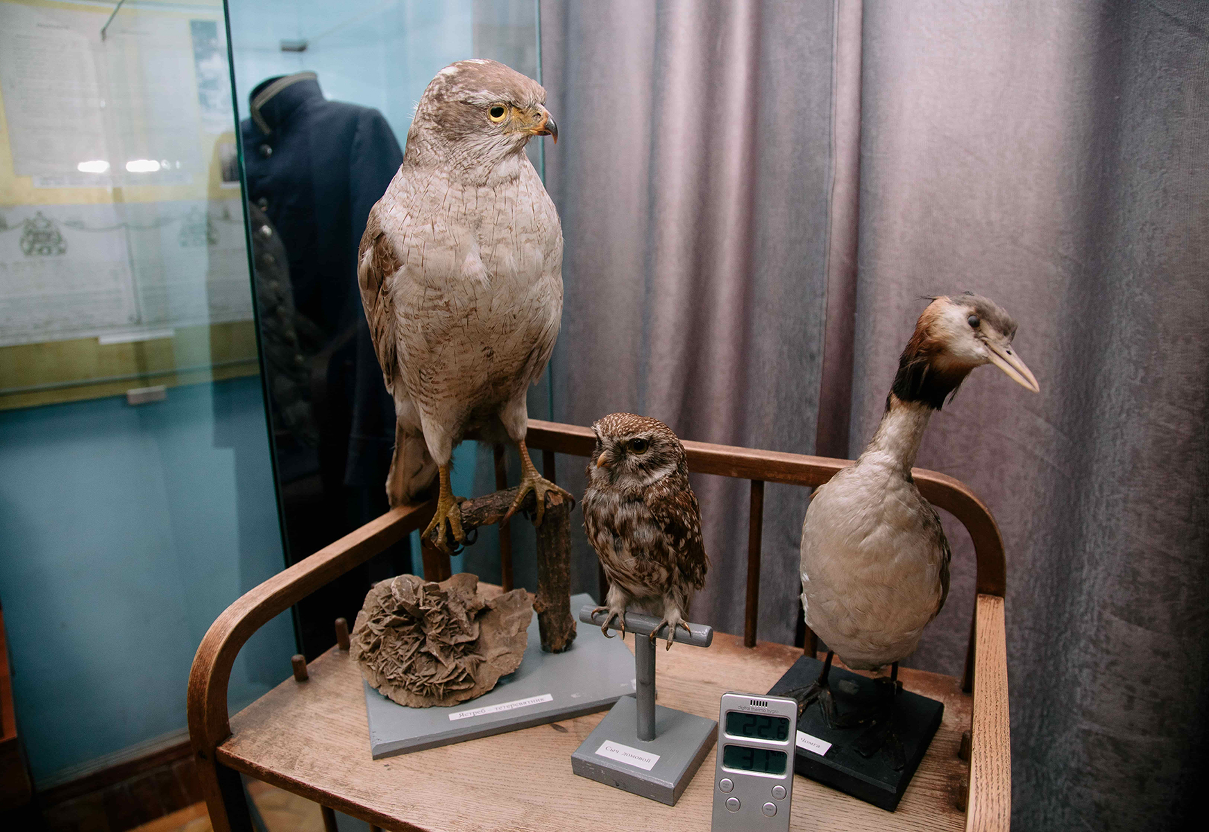 Музей истории города