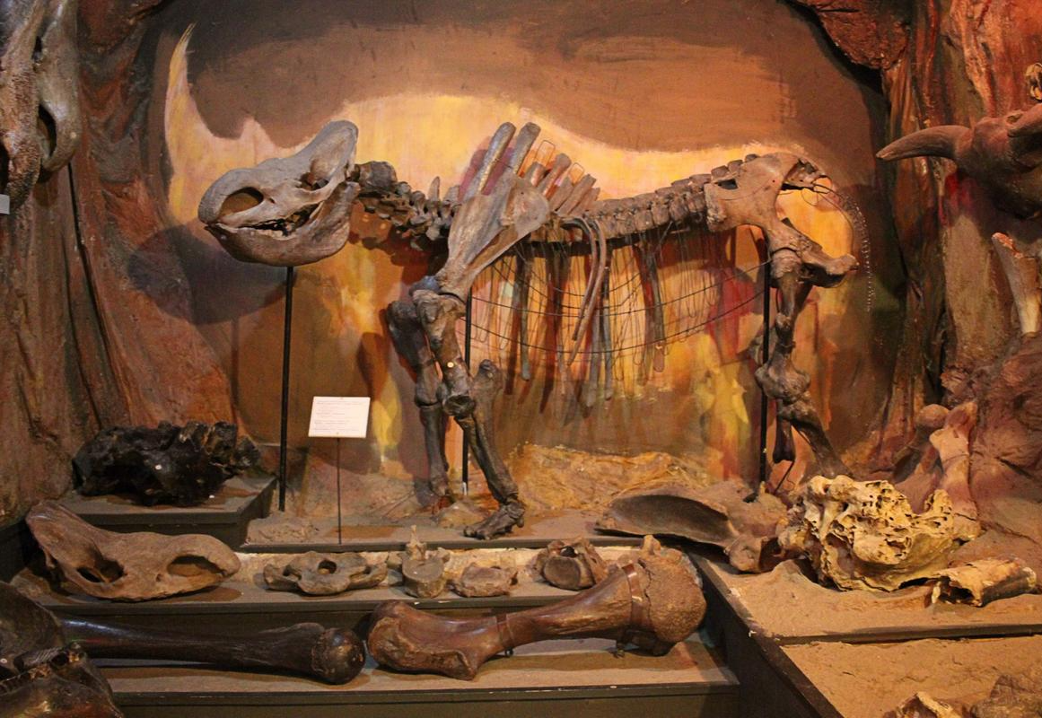 Самарский областной историко-краеведческий музей имени П. В. Алабина