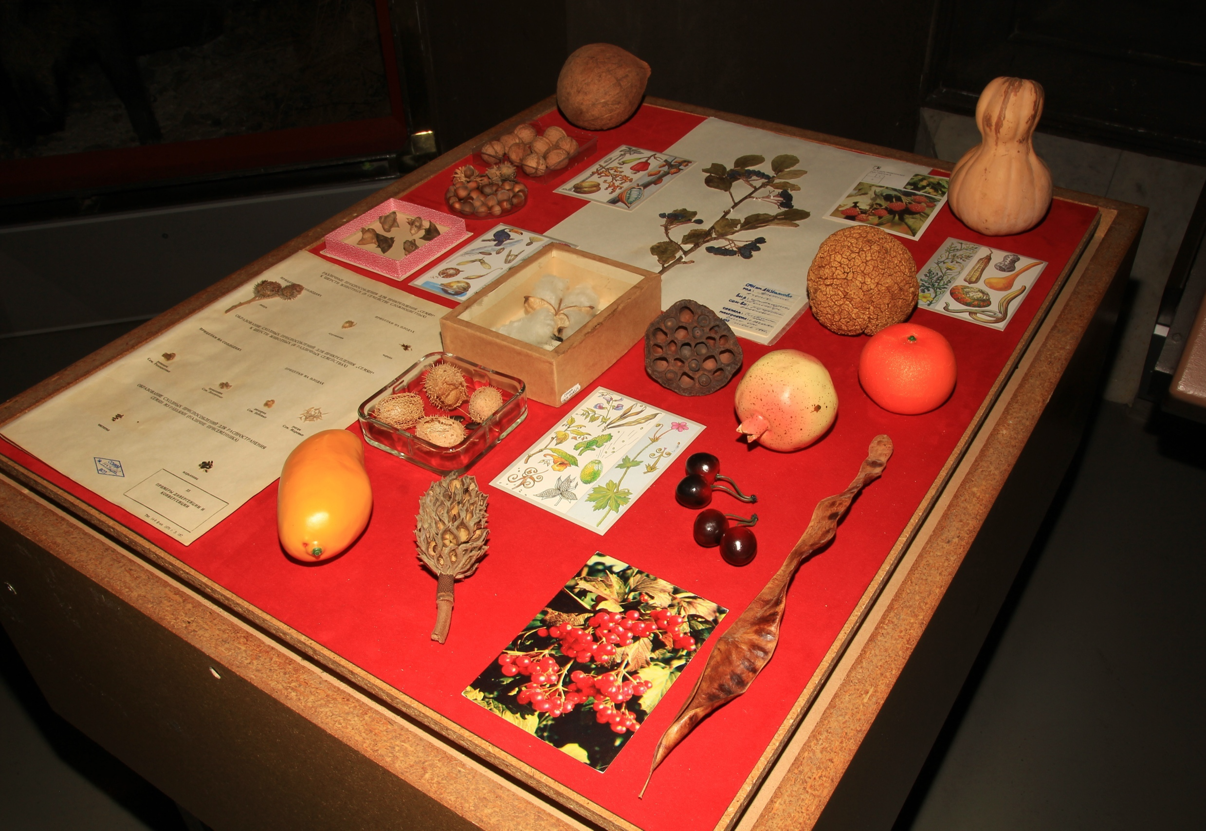 Самарский областной историко-краеведческий музей имени П. В. Алабина