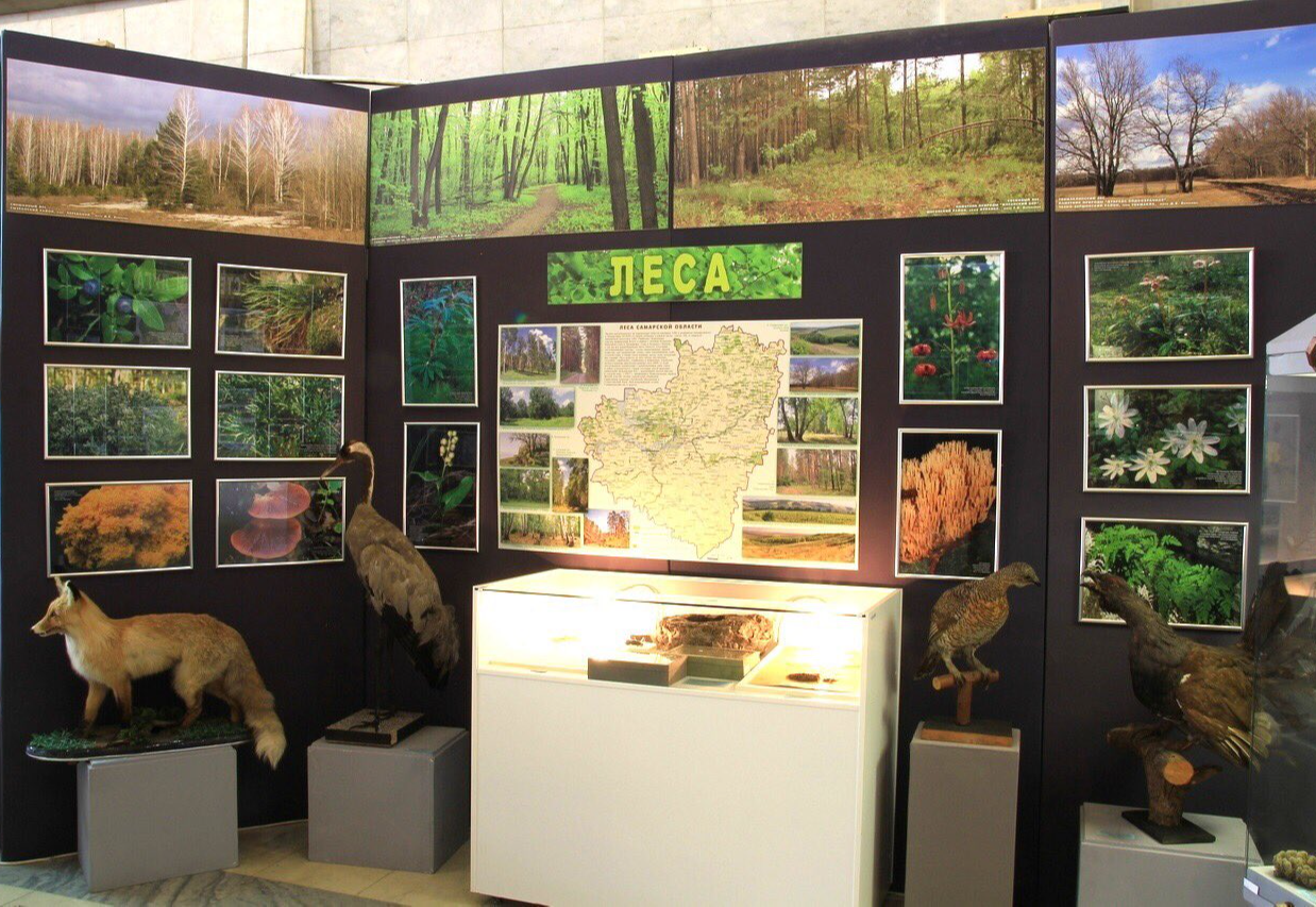 Самарский областной историко-краеведческий музей имени П. В. Алабина