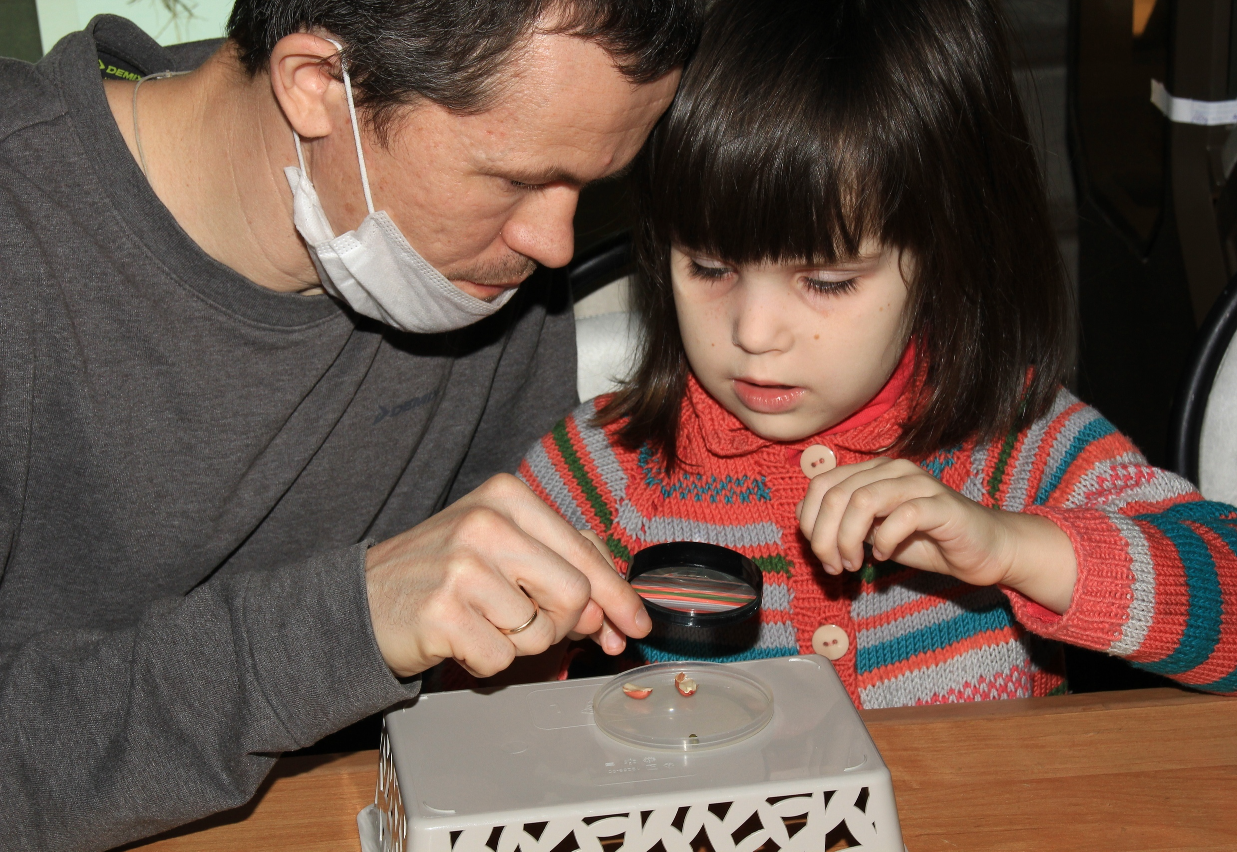 Самарский областной историко-краеведческий музей имени П. В. Алабина