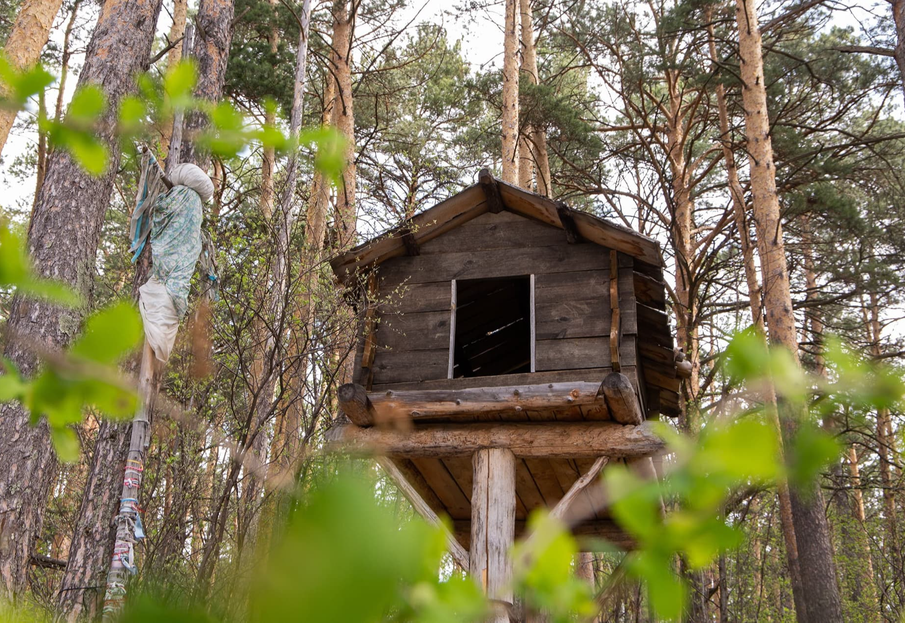 Музей-заповедник «Томская Писаница»