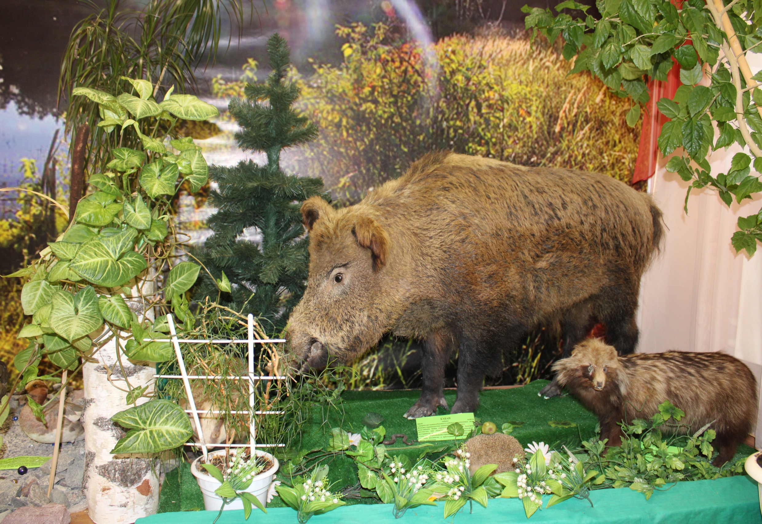 Районный краеведческий музей г. Краснослободска