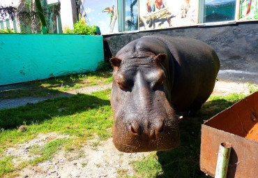 Большереченский Зоопарк имени В. Д. Соломатина