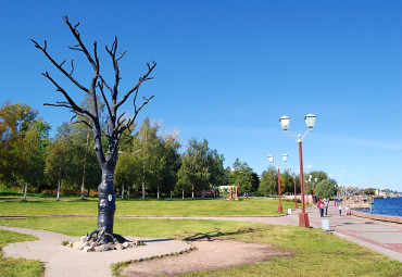 Петрозаводск — сердце Карелии!