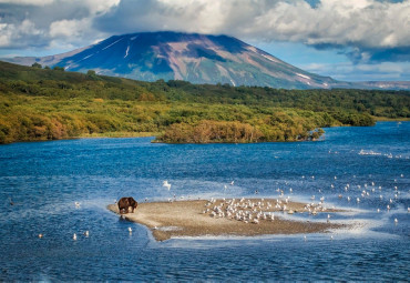 Тур «Камчатка-стихия воды». Петропавловск-Камчатский.