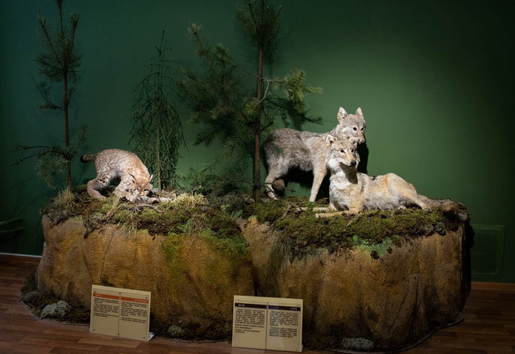 Национальный музей Республики Марий Эл им. Т. Евсеева