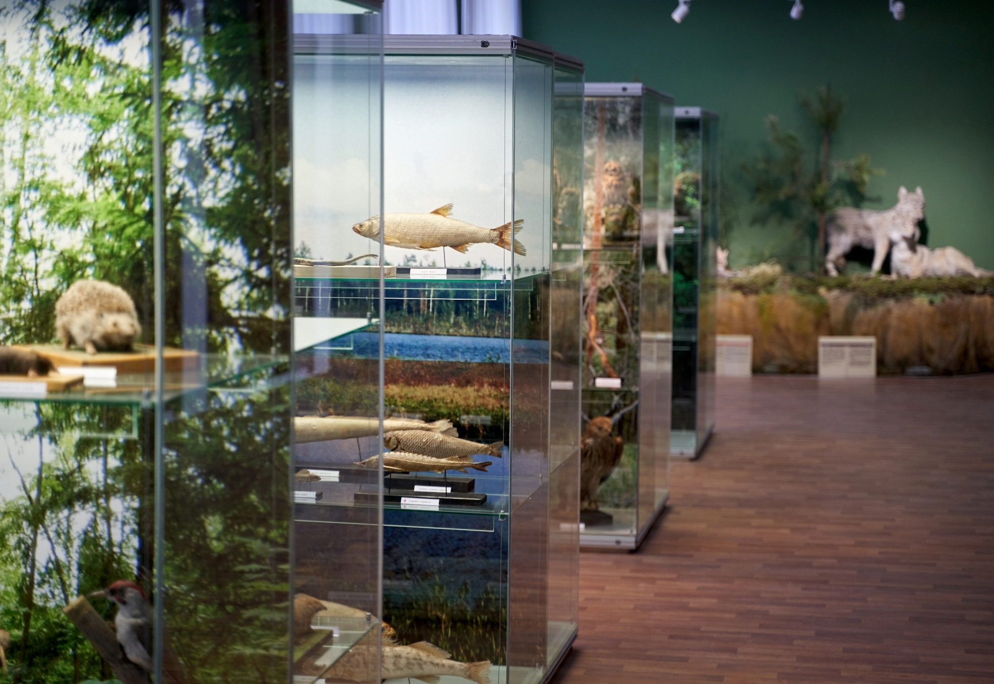 Национальный музей Республики Марий Эл им. Т. Евсеева