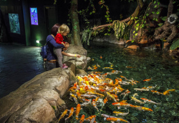 Океанариум Sochi Discovery World Aquarium.