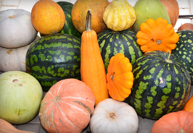 Музей Российский арбуз