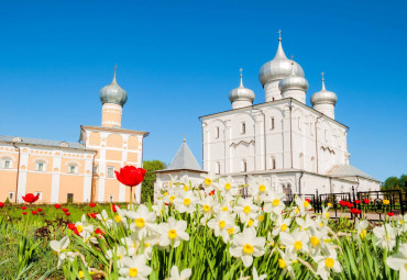 Ганзейский город Великий Новгород (для школьных групп). Санкт-Петербург - Великий Новгород - Санкт-Петербург