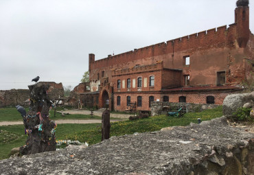 Жемчужины Балтики. Калининград - Гусев - Куршская коса - пос. Янтарный - Гурьевск - Гвардейск - Зеленоградск - пос. Некрасово - Калининград