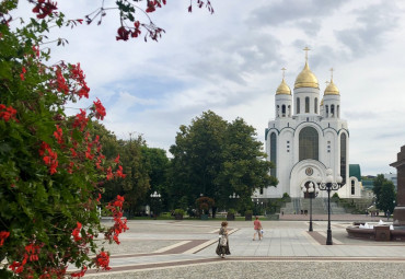 Путешествие по Калининградской области (7 дней). Калининград - Черняховск - Гусев - Янтарный - Светлогорск - Калининград