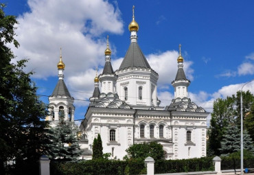 Девичьим полем в Новодевичью обитель. Москва.