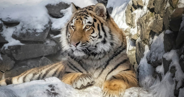 Новосибирск: зоопарк/дельфинарий/океанариум (по выбору). Барнаул - Новосибирск - Барнаул