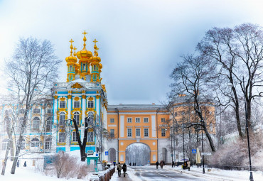 День защитника отечества в Петербурге. Петергоф - Пушкин.