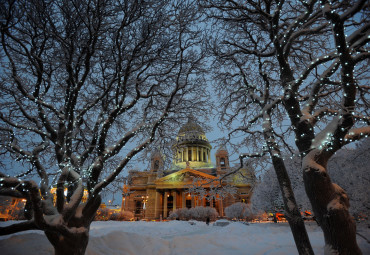 День защитника отечества в Петербурге. Петергоф - Пушкин.