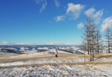 Рождественская феерия