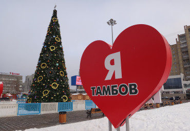 Новогодний разгуляй в Тамбове (2 дня).