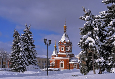 "Январские каникулы в Костроме" с посещением Терема Снегурочки + лосеферма + ювелирный завод + театрализованная экскурсия "Губернские истории". Москва - Кострома - Сумароково.