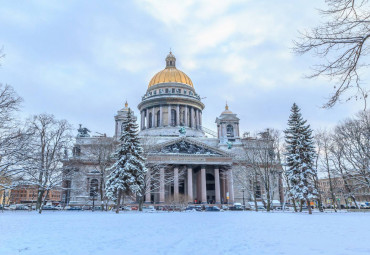 Ёлки в большом городе. Санкт-Петербург - Кронштадт - Петергоф - Санкт-Петербург