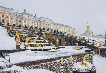 Ёлки в большом городе. Санкт-Петербург - Кронштадт - Петергоф - Санкт-Петербург