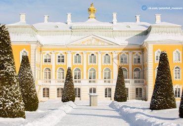 Ёлки в большом городе. Санкт-Петербург - Кронштадт - Петергоф - Санкт-Петербург