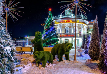 Новый год в Рыбинске. Москва - Переславль-Залесский - Ростов Великий - Рыбинск - Ярославль - Гаврилов Ям.