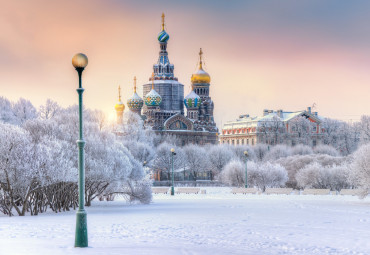 В Петербург — недорого. Санкт-Петербург - Петергоф - Пушкин (Царское Село) - Санкт-Петербург