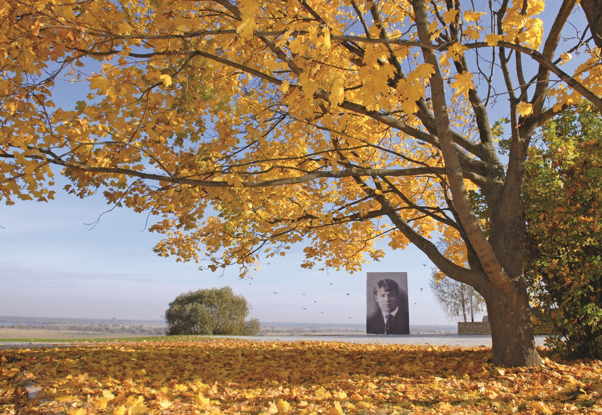 Музей-заповедник С.А. Есенина