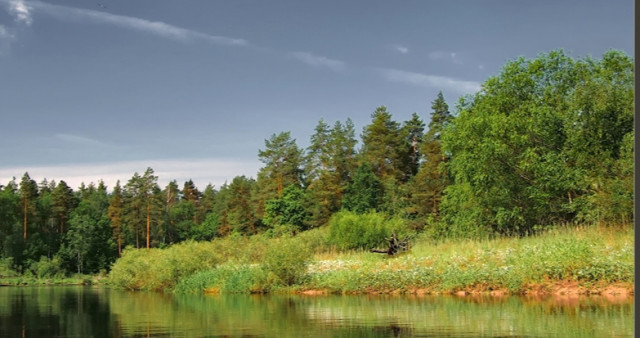 Окский биосферный заповедник и Музей природы