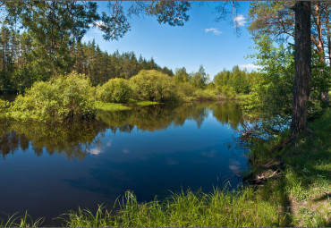 Окский биосферный заповедник и Музей природы