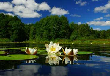 Национальный парк «Мещёрский»