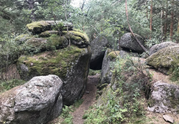 Каникулы на Алтае. Горно-Алтайск - Белокуриха - Алтайское - Чемал - Горно-Алтайск