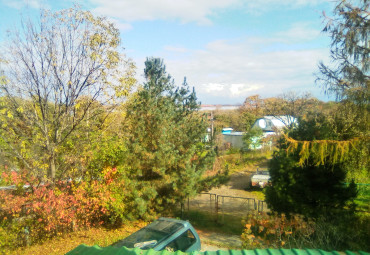 Дом стрижей (семейный волонтерский проект)