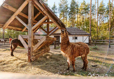 Развлекательный комплекс «В некотором царстве»