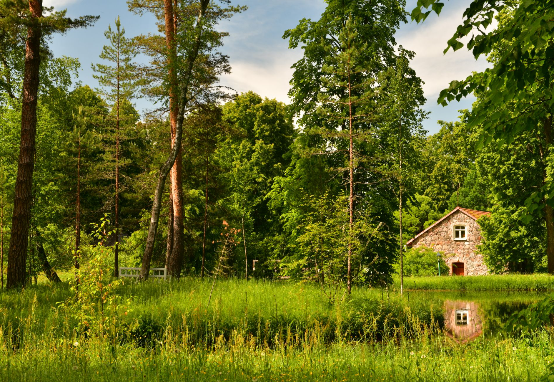 Музей-усадьба "Михайловское"