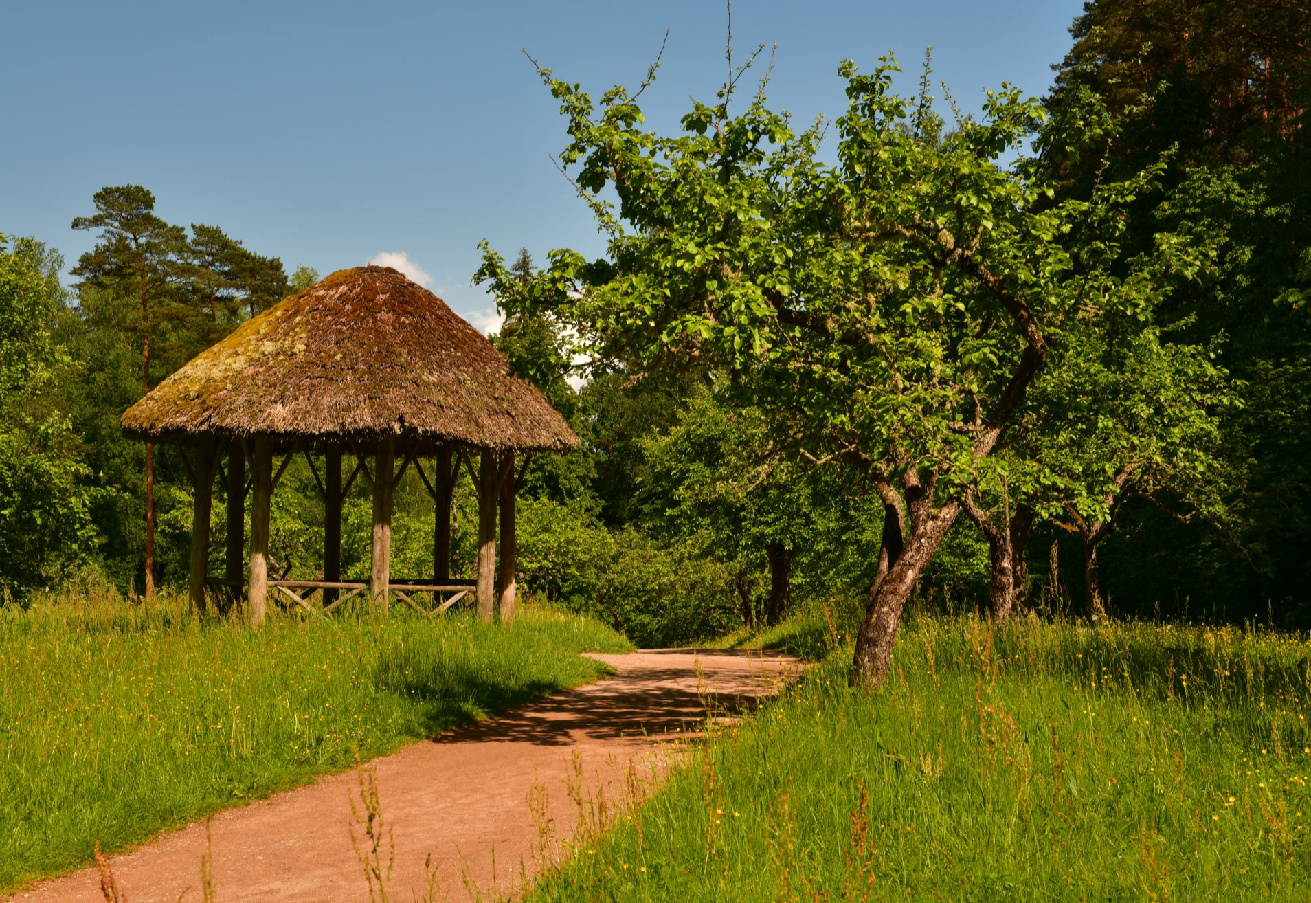 Музей-усадьба "Михайловское"