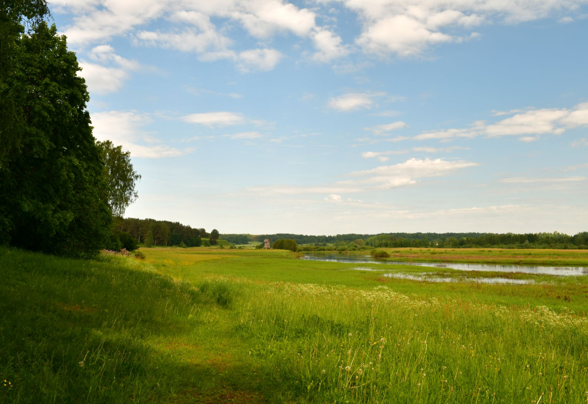 Музей-усадьба "Михайловское"