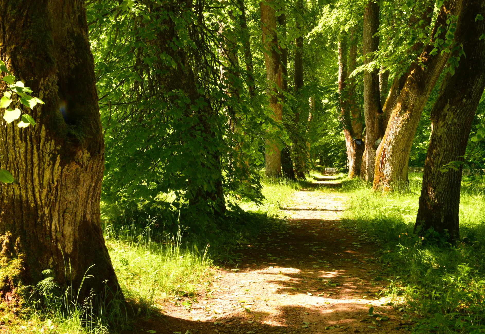 Музей-усадьба "Михайловское"