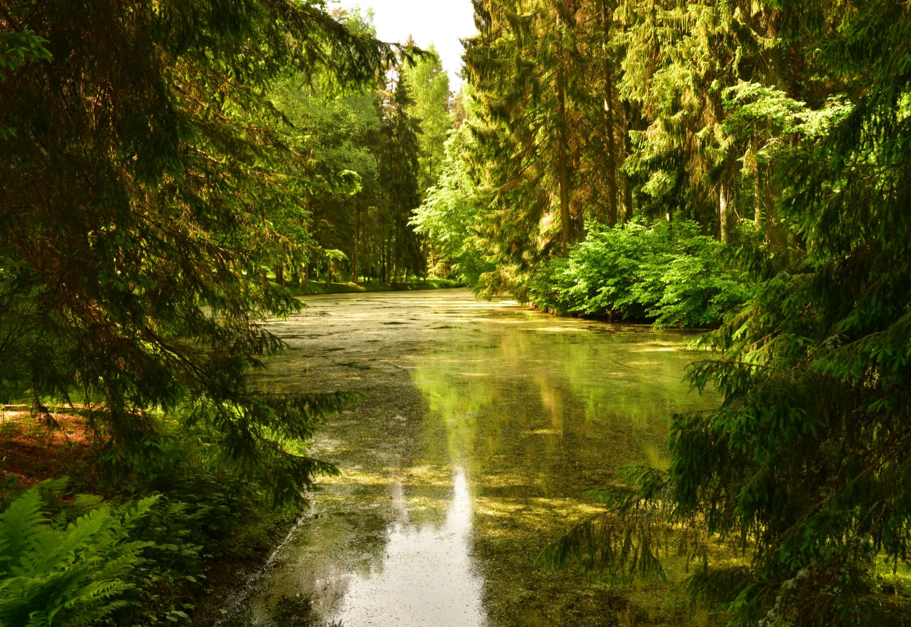 Музей-усадьба "Михайловское"