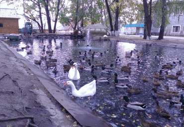 Синь России. Москва -  Гжель - Москва